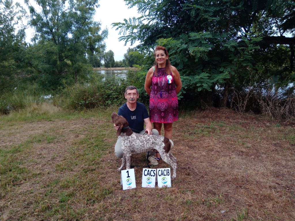 Scorpion Champion de France de conformité au standard